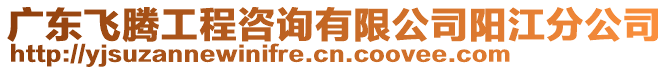 廣東飛騰工程咨詢有限公司陽江分公司