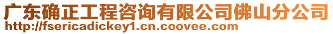 廣東確正工程咨詢有限公司佛山分公司