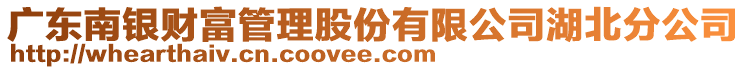 廣東南銀財富管理股份有限公司湖北分公司