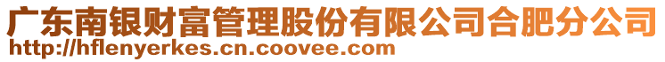 廣東南銀財(cái)富管理股份有限公司合肥分公司