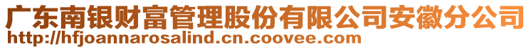 廣東南銀財富管理股份有限公司安徽分公司