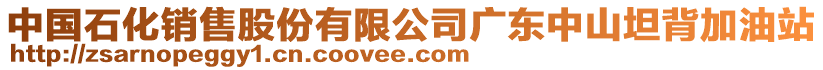 中國石化銷售股份有限公司廣東中山坦背加油站