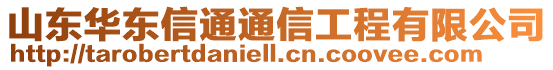 山東華東信通通信工程有限公司