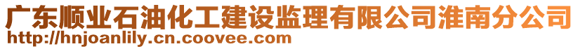 廣東順業(yè)石油化工建設(shè)監(jiān)理有限公司淮南分公司