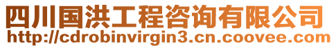 四川國洪工程咨詢有限公司