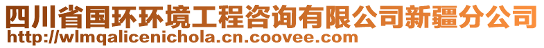 四川省國(guó)環(huán)環(huán)境工程咨詢有限公司新疆分公司