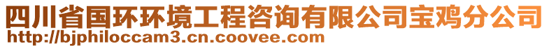 四川省國環(huán)環(huán)境工程咨詢有限公司寶雞分公司