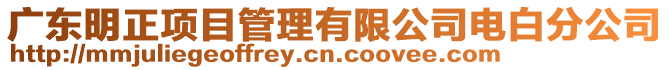 廣東明正項目管理有限公司電白分公司