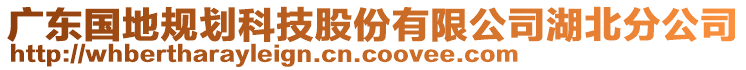 廣東國(guó)地規(guī)劃科技股份有限公司湖北分公司