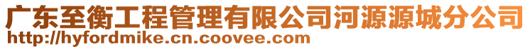 廣東至衡工程管理有限公司河源源城分公司