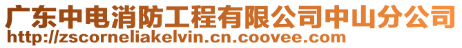 廣東中電消防工程有限公司中山分公司