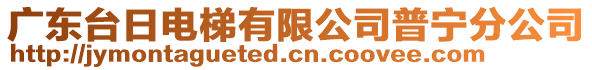 廣東臺日電梯有限公司普寧分公司