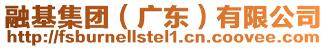 融基集團(廣東)有限公司