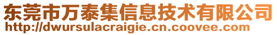 東莞市萬泰集信息技術有限公司