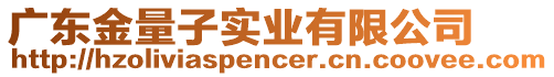 廣東金量子實業有限公司