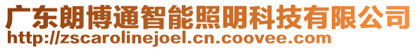 廣東朗博通智能照明科技有限公司