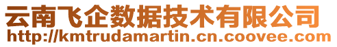 云南飛企數(shù)據(jù)技術(shù)有限公司