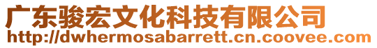 廣東駿宏文化科技有限公司