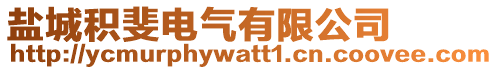 鹽城積斐電氣有限公司