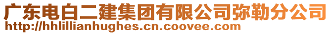 廣東電白二建集團有限公司彌勒分公司