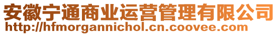 安徽寧通商業(yè)運(yùn)營(yíng)管理有限公司