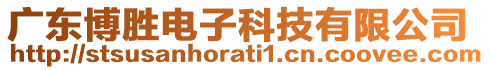 廣東博勝電子科技有限公司