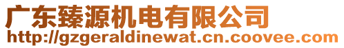 廣東臻源機電有限公司
