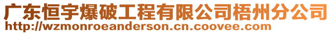 廣東恒宇爆破工程有限公司梧州分公司