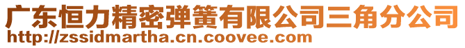 廣東恒力精密彈簧有限公司三角分公司