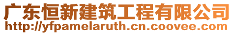 廣東恒新建筑工程有限公司