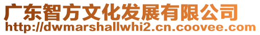 廣東智方文化發展有限公司