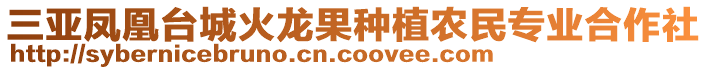 三亞鳳凰臺城火龍果種植農(nóng)民專業(yè)合作社