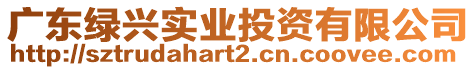 廣東綠興實業投資有限公司