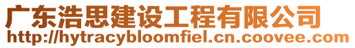 廣東浩思建設(shè)工程有限公司