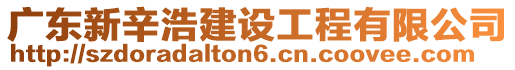 廣東新辛浩建設(shè)工程有限公司