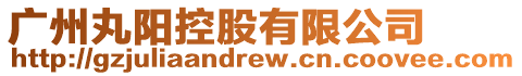 廣州丸陽(yáng)控股有限公司