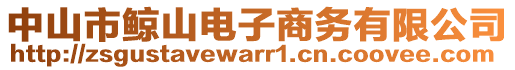 中山市鯨山電子商務有限公司