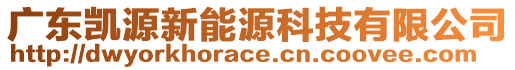 廣東凱源新能源科技有限公司