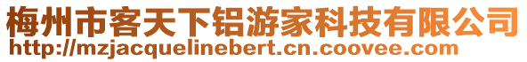 梅州市客天下鋁游家科技有限公司