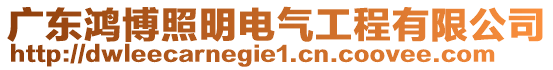 廣東鴻博照明電氣工程有限公司