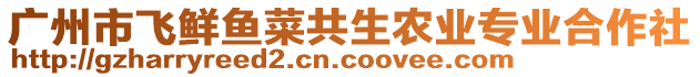 廣州市飛鮮魚菜共生農(nóng)業(yè)專業(yè)合作社