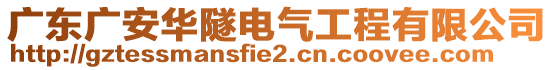 廣東廣安華隧電氣工程有限公司