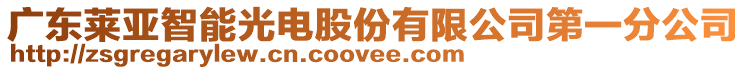 廣東萊亞智能光電股份有限公司第一分公司