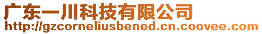 廣東一川科技有限公司