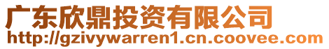 廣東欣鼎投資有限公司