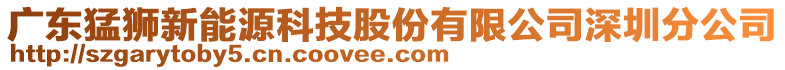 廣東猛獅新能源科技股份有限公司深圳分公司