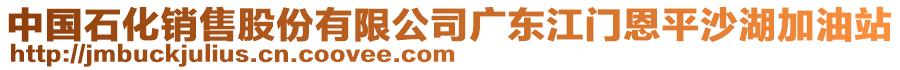 中國(guó)石化銷售股份有限公司廣東江門恩平沙湖加油站