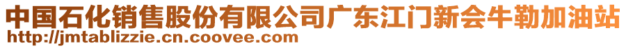 中國石化銷售股份有限公司廣東江門新會(huì)牛勒加油站