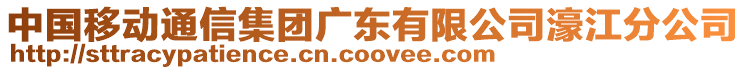 中國移動通信集團廣東有限公司濠江分公司