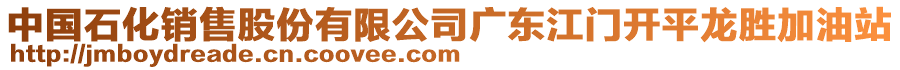 中國(guó)石化銷售股份有限公司廣東江門開平龍勝加油站